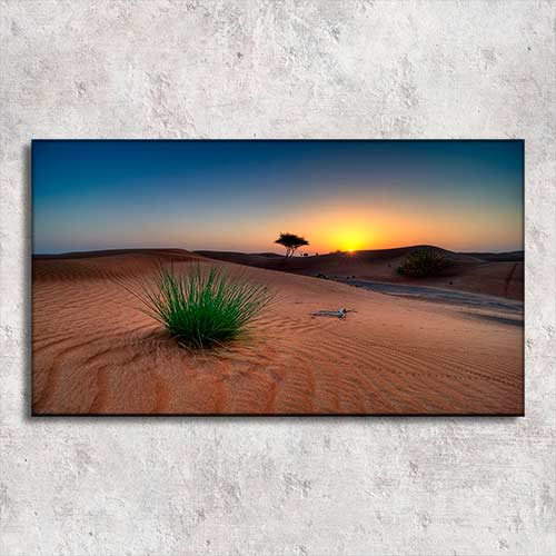 Quadro com fotos-Deserto